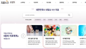 코호트 출산율 등 ‘저출생 통계지표’ 공개…“인구구조대응 정책에 활용”