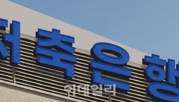 안국·라온저축銀 경영개선권고 부과…정상 영업은 가능