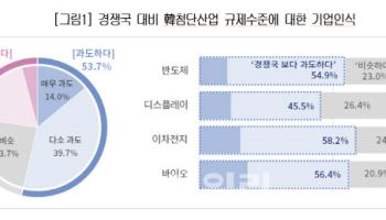 TSMC는 하루12시간도 일하는데…"경쟁국보다 규제 과도"