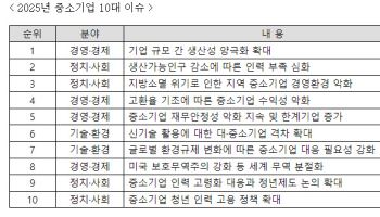 “내년 중기 수익성 악화·기업 양극화 심화할 것”