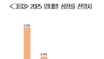 소비심리 꽁꽁 얼었다…"내년 소매시장 성장률 0.4%"