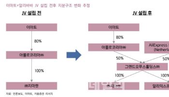 "G마켓·알리익스프레스 합작은 기회…'과도한 낙관론'은 경계"