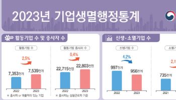 지난해 신생기업 3년 연속 감소…부동산 침체에 역대 최대폭↓