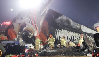 무안공항, 조류 충돌 발생률 1위…6년간 10차례