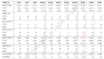 SK하이닉스, 2025년 실적 개선 지속 전망-KB