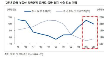 현대제철, 업황부진·환율급등으로 목표가↓…내년 개선될 듯-NH