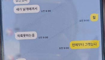 “착륙 못 해...유언해야 하나” 비행기에서 온 마지막 카톡