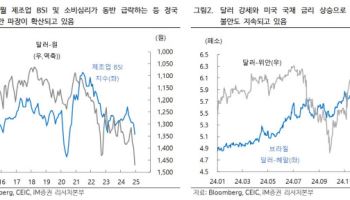 "정치 불확실 장기화로 환율 변동성 확대 전망…1460~1500원 등락"