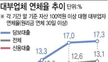 대부업 연체율 13% 돌파…대출은 반년새 3000억 더 줄어