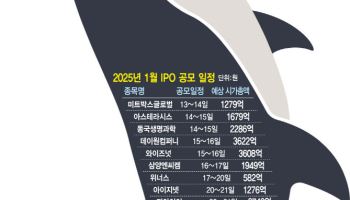 IPO 시장 먹구름 걷힐까…'대어' 상장 앞두고 기대감 솔솔