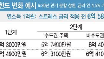 연소득 1억원, 주담대 4800만원 줄어든다