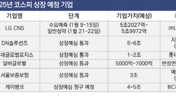 을사년 상장 도전하는 ‘대어급’ 기업, 어디