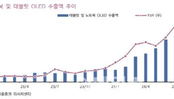 LG디스플레이, 4Q 실적 예상치 하회…목표가↓-키움