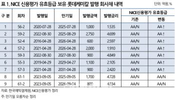 NICE신평 “롯데케미칼 선순위 무보증채, 신용등급 상향 검토”