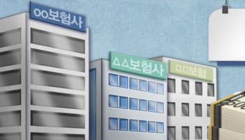 올해 보험건전성 감독 강화…보험연구원 “공동재보험 활성화 필요”