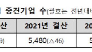 중견기업, 292개 순증했지만 …영업익·투자 등 감소