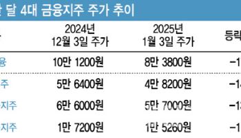 고환율에 발목잡힌 은행주…주주환원 여력 축소에 외국인 '탈출 러시'