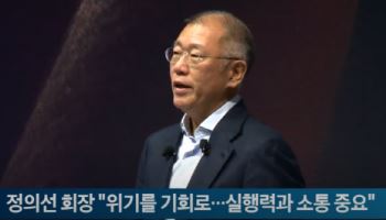 정의선 회장 "위기를 기회로…실행력과 소통 중요"