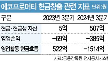 대규모 해외투자 단행한 에코프로머티, 캐즘 돌파구 마련할까