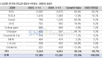 1~11월 전기차 판매 BYD 1위…현대차그룹 판매량 1.2%↓