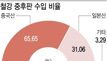 일본산 제친 중국산 후판..믿을 건 반덤핑 관세 뿐