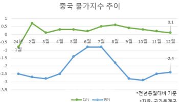 작년 중국 소비자물가 0.2% ‘찔끔’ 상승…소비 진작 시급