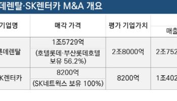 [마켓인]SK렌터카 이어 롯데렌탈에도…어피니티 ‘프리미엄’ 전략 성공할까