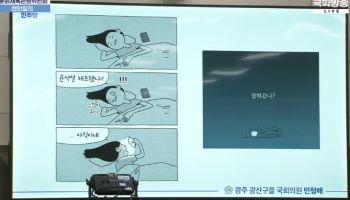 "잡혀갔나?"...국회에 등장한 '내란성 불면증' 만화 뭐길래