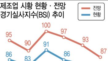 내수 부진에 트럼프 불확실성…제조업 체감경기 ‘뚝’