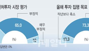 벤처업계 보릿고개 길어지나…90% “정국 혼란에 부정 영향”