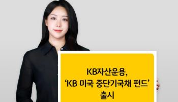 “금리인하기에 적합”…KB운용, ‘KB 美 중단기국채 펀드’ 출시