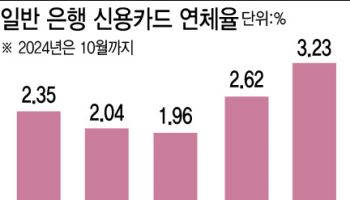 신용카드 연체율 3% 돌파…10년 만에 최대치