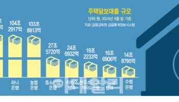 카뱅 주담대 이 정도였어? SC제일은행도 제쳤다