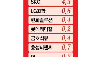 석화사들, 장기 불황 늪 벗어나는 중…“작년 말부터 턴어라운드”