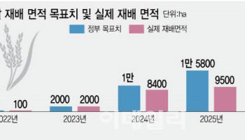 [단독]의욕 앞섰던 정부…올해 가루쌀 재배면적, 목표치 57.5% 그쳐