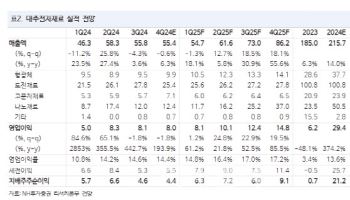 대주전자재료, 실리콘음극재 고성장 지속…목표가↑-NH