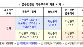 대형 금투사·보험사, 내부통제 강화 ‘책무구조도’ 시범운영