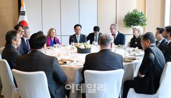 최 대행, G7·EU 주한대사와 오찬 “한국경제, 흔들림 없어”