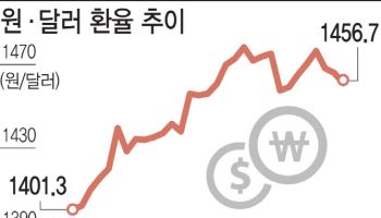 환율 6거래일 만에 1450원대로 하락…추가 하락은 미지수