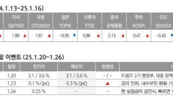 "건강한 조정 끝낸 美 증시, 트럼프 2기 행정부 기점으로 상승 추세 전망"