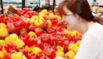 기후변화·엔저에…K-파프리카, 최대 수출국 일본서 위기[食세계]