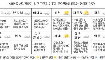 고환율, 주력산업 직격탄…"원자재 가격·해외투자 부담 커"