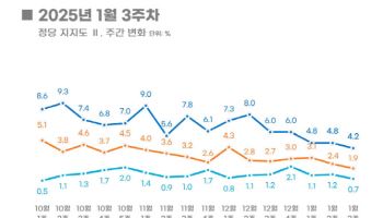 ‘진흙탕 싸움 속 창당 1년’ 개혁신당…보수대안 아닌 지지율 1%대 ‘추락’