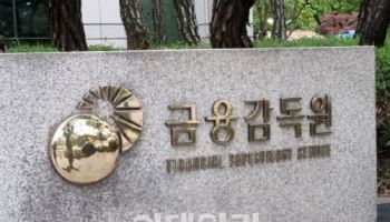 [단독]코인원, 트럼프 코인 상장 졸속 심사…금감원 조사