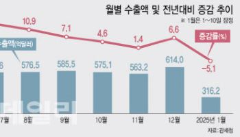 트럼프 출범과 함께 수출 감소…'보릿고개' 현실화하나