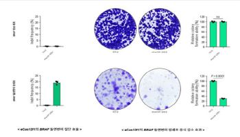 유전자가위 新개발로 암세포 증식 82% 감소