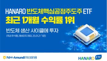 NH아문디운용, 'HANARO 반도체핵심공정주도주' ETF…월간 수익률 1위