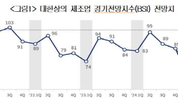 기업 체감경기 4년래 최저 뚝…"특단의 정책 대응 절실"