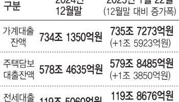 '3.8%' 숫자 주고 디테일 없는 당국…銀, 대출관리 골머리