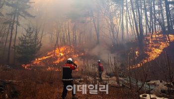 고양시, 산불방지 종합대책 마련…헬기·드론 투입